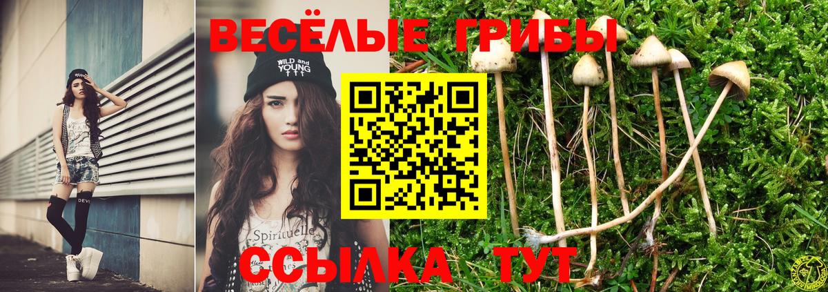 Псилоцибиновые грибы GOLDEN TEACHER  Вход с VPN  Галлюциногенные грибы Psilocybe  Воскресенск 